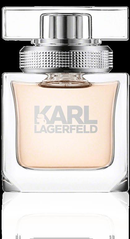 Отзыв на Лагерфельд Карл для Женщины парфюмированная вода спрей из Интернет-Магазина Easycosmetic