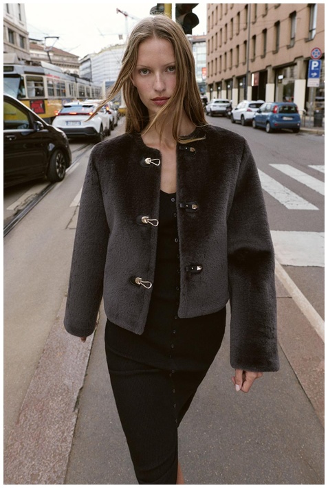 Швидкий викуп Знижки до  47% из магазина Zara (Германия)