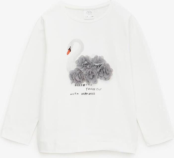 Отзыв на Рубашка с принтом и ШИФОНОВЫЕ-ДЕТАЛЬ из Интернет-Магазина Zara
