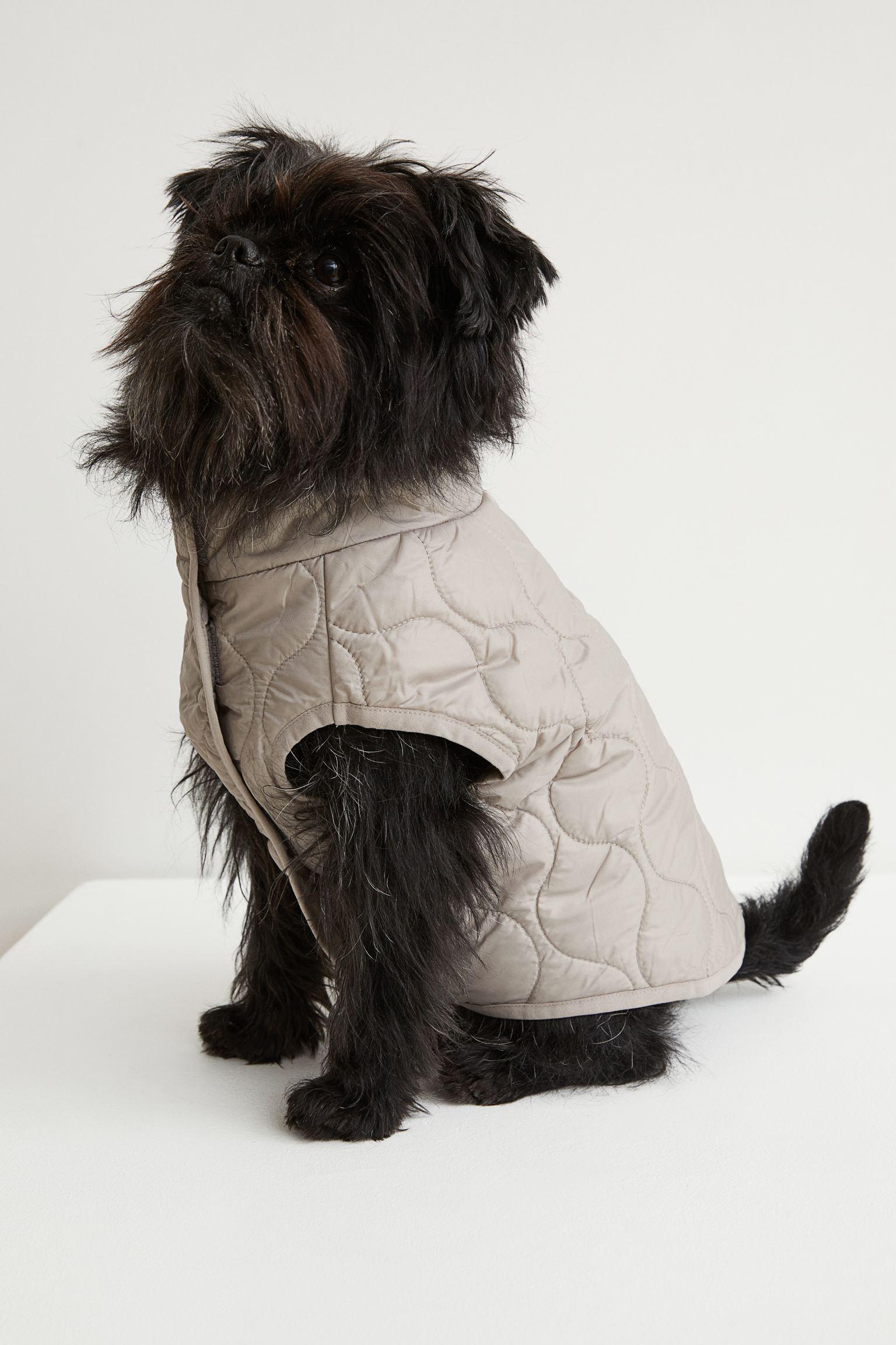 Отзыв на Gesteppte Hundejacke из Интернет-Магазина H&M